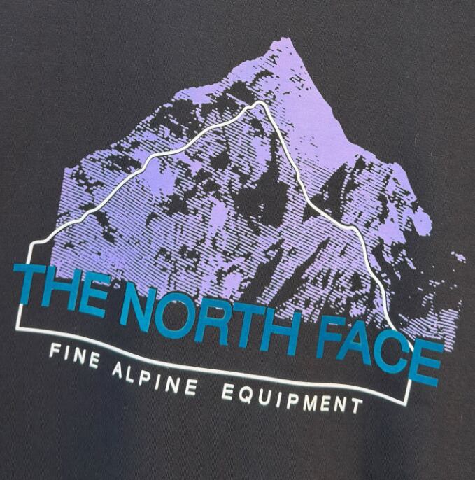 THE NORTH FACE スウェット メンズ レディース トレーナー 長袖 クルーネック バックプリント グラフィック ブラック アウトドア ストリート