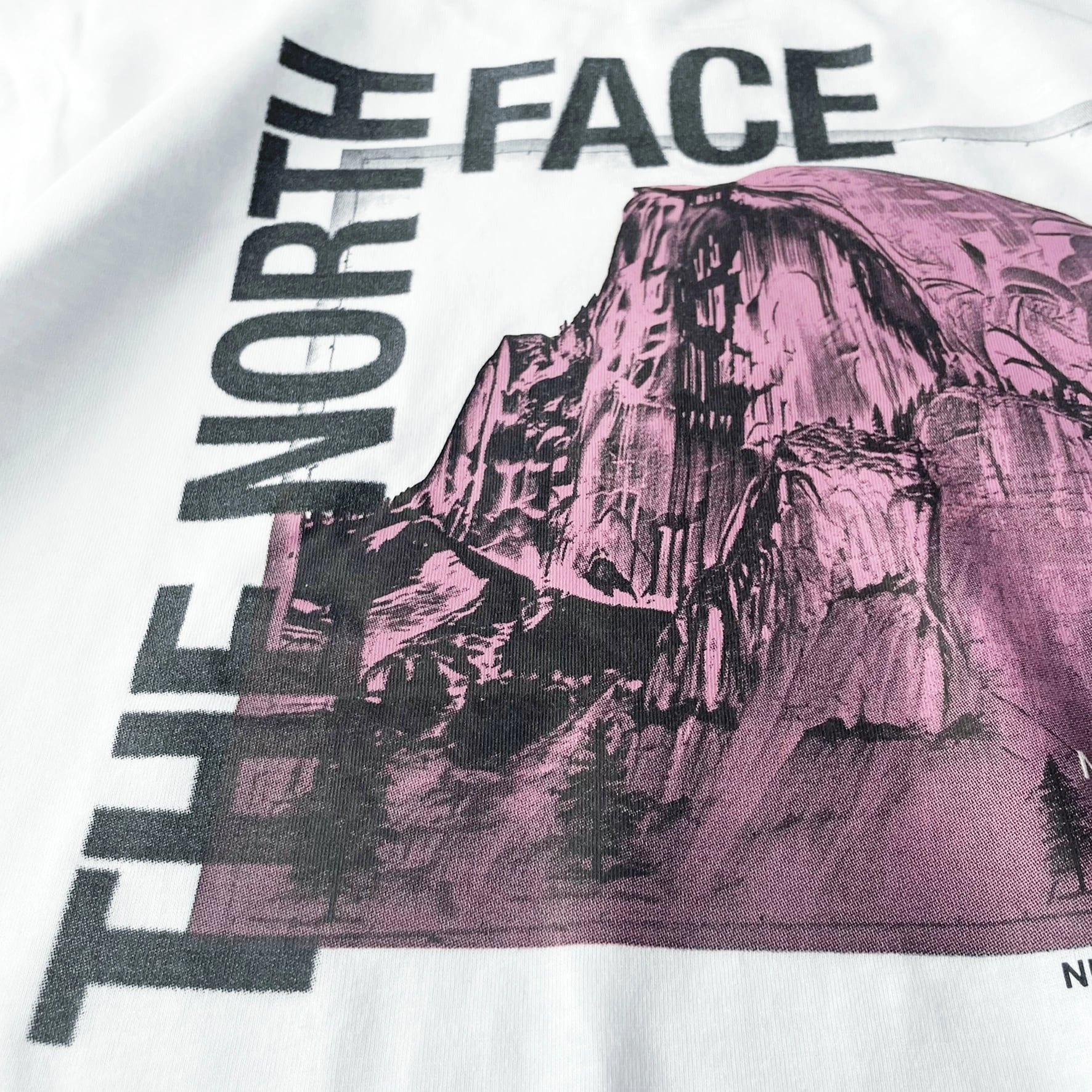 THE NORTH FACE グラフィックTシャツ 半袖 メンズ レディース ユニセックス ホワイト バックプリント