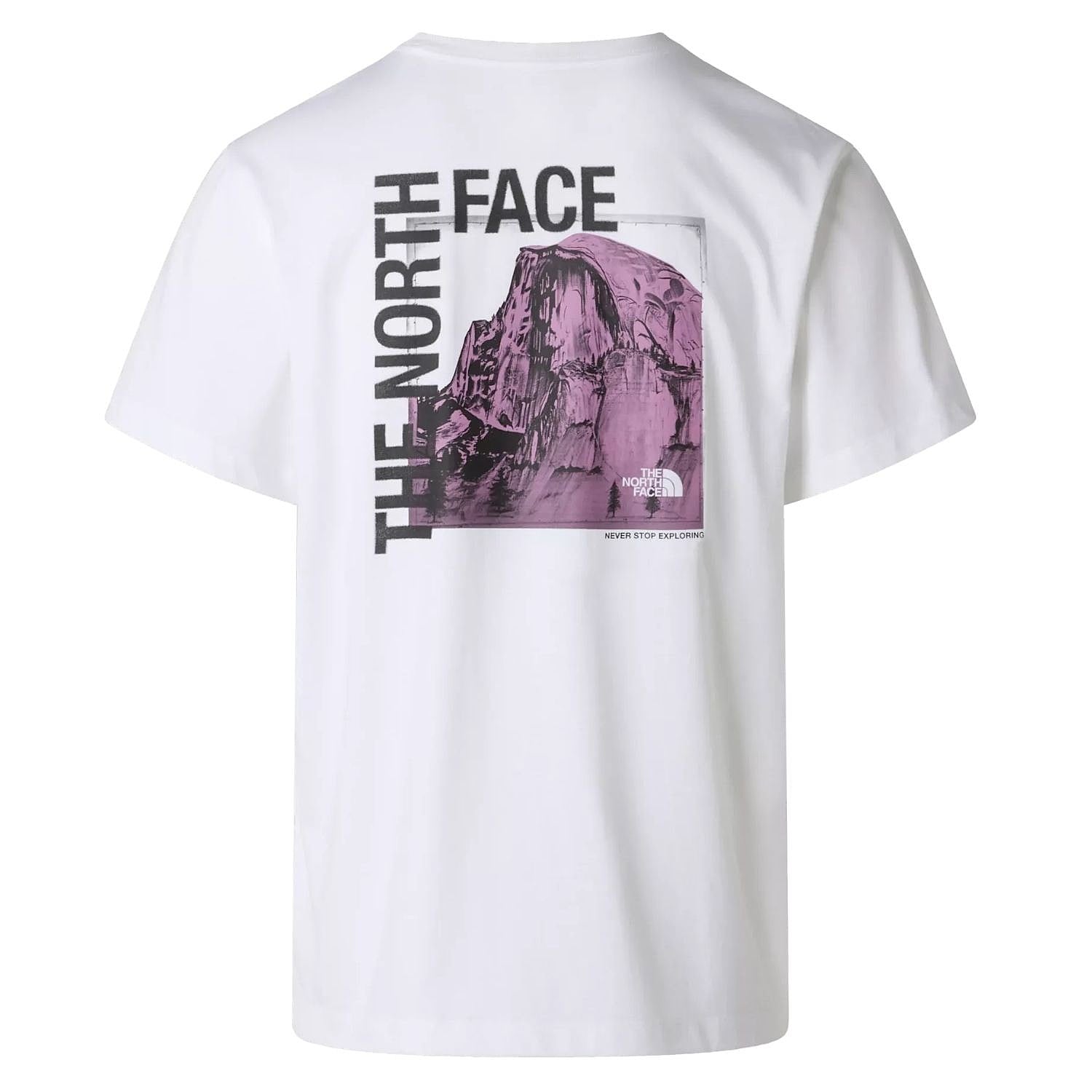 THE NORTH FACE グラフィックTシャツ 半袖 メンズ レディース ユニセックス ホワイト バックプリント