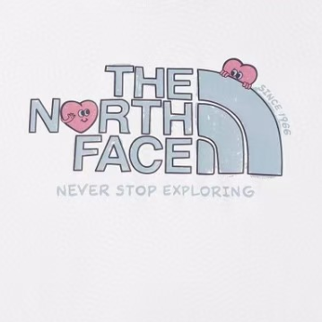 THE NORTH FACE ハートロゴTシャツ レディース 半袖 クルーネック カジュアルTシャツ