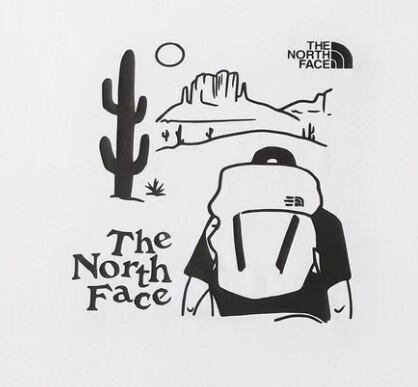 THE NORTH FACE メンズTシャツ バックプリント 半袖 ロゴTシャツ クルーネック ホワイト カジュアル アウトドア