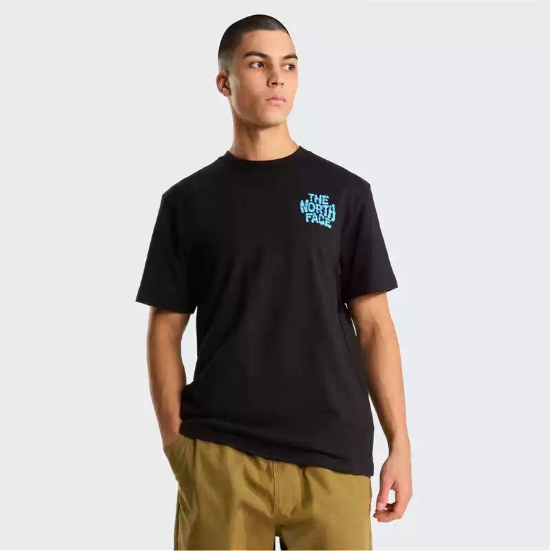 THE NORTH FACE Tシャツ メンズ レディース 半袖 バックプリント ブラック ブルーロゴ ストリート