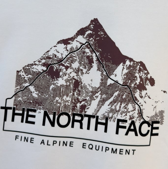 THE NORTH FACE スウェット メンズ レディース トレーナー 長袖 クルーネック バックプリント グラフィック ブラック アウトドア ストリート