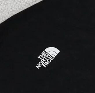 THE NORTH FACE Tシャツ メンズ レディース 半袖 グラフィック バックプリント ブラック ユニセックス