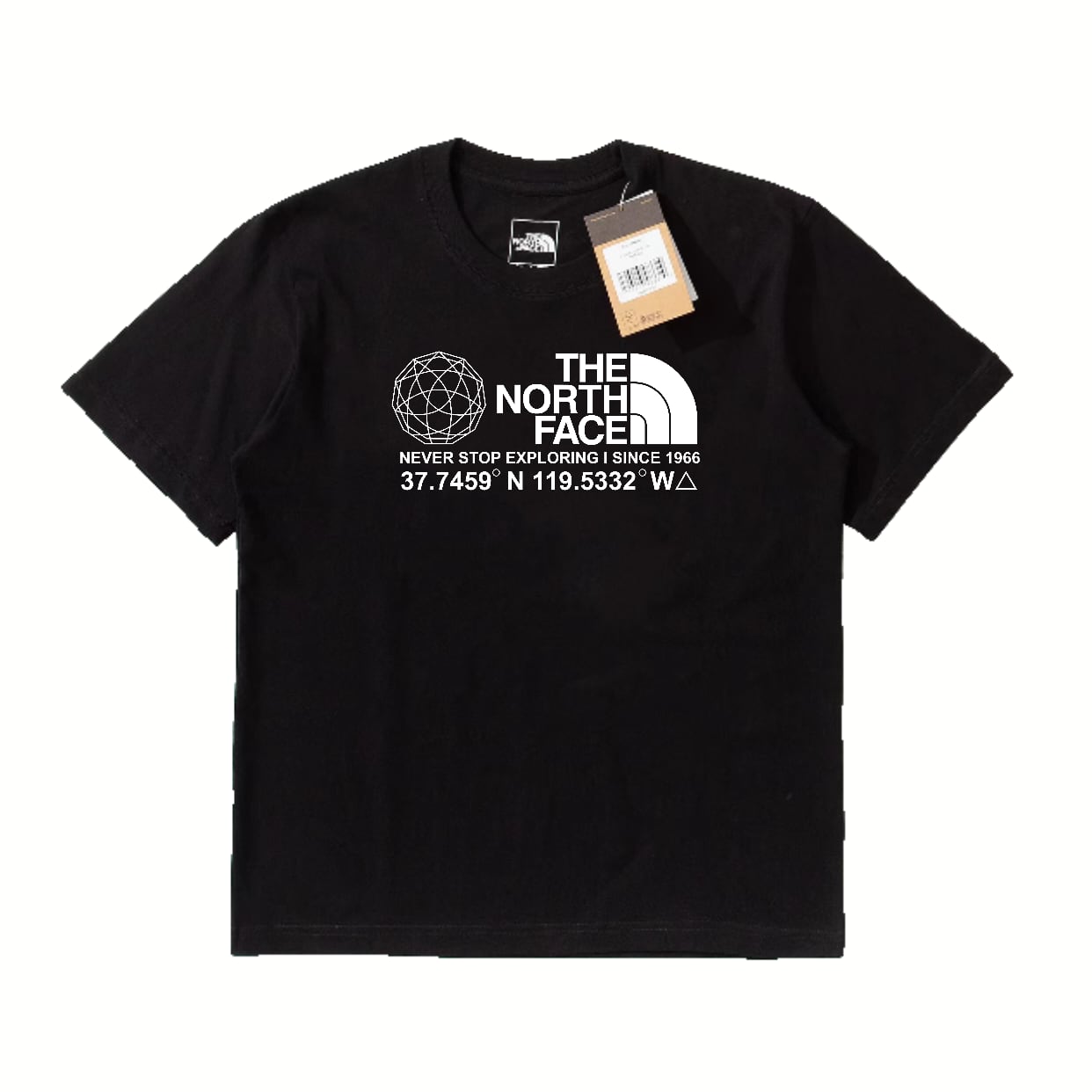 THE NORTH FACE グラフィックTシャツ メンズ レディース 半袖 ロゴTシャツ クルーネック ユニセックス ストリート カジュアル