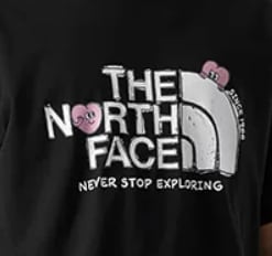 THE NORTH FACE レディース グラフィックTシャツ 半袖 オーバーサイズ ブラック