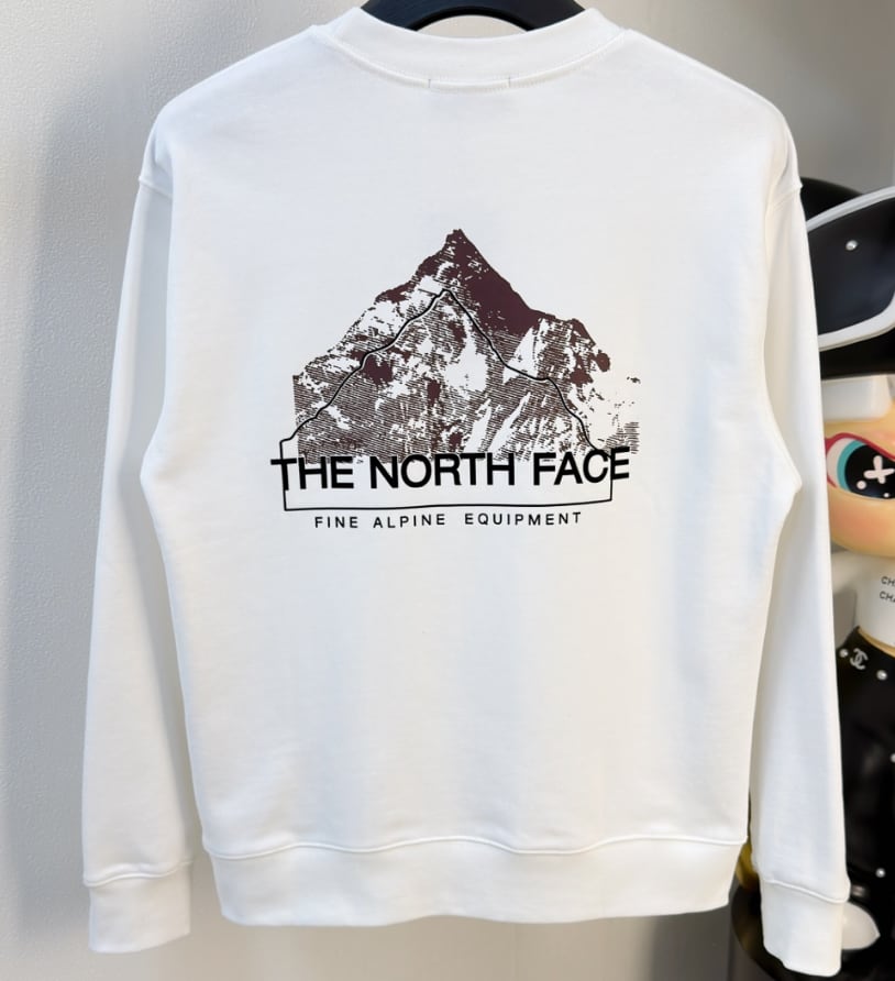 THE NORTH FACE スウェット メンズ レディース トレーナー 長袖 クルーネック バックプリント グラフィック ブラック アウトドア ストリート