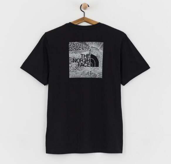THE NORTH FACE Tシャツ メンズ レディース 半袖 グラフィック バックプリント ブラック ユニセックス