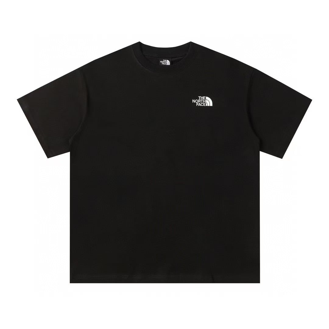 THE NORTH FACE グラフィックTシャツ メンズ レディース 半袖 バックプリント クルーネック ブラック