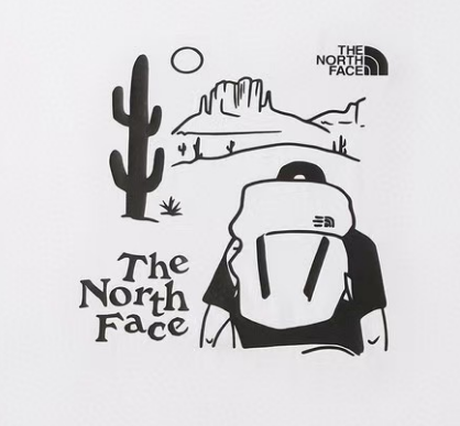 THE NORTH FACE メンズTシャツ バックプリント 半袖 ロゴTシャツ クルーネック ホワイト カジュアル アウトドア