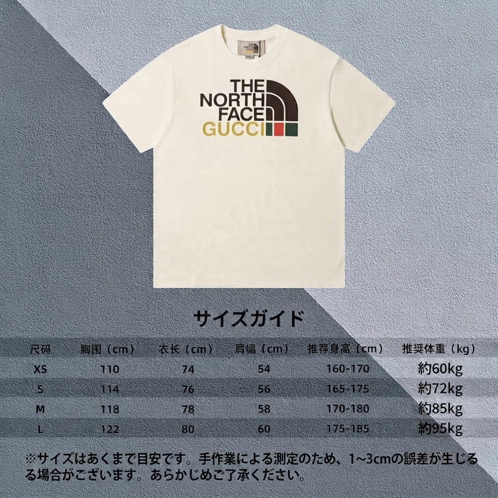 THE NORTH FACE Tシャツ メンズ レディース 半袖 ロゴTシャツ グラフィック クルーネック カジュアル ストリート ユニセックス