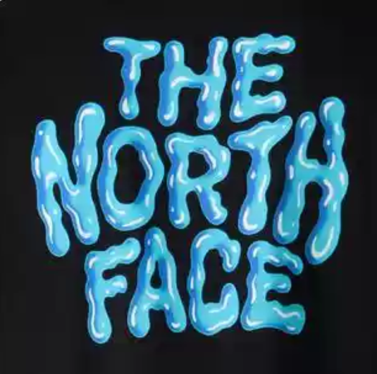 THE NORTH FACE Tシャツ メンズ レディース 半袖 バックプリント ブラック ブルーロゴ ストリート