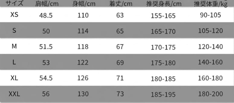THE NORTH FACE マウンテンパーカー メンズ レディース GORE-TEX ジャケット ナイロンジャケット フード付き アウトドア タウンユース