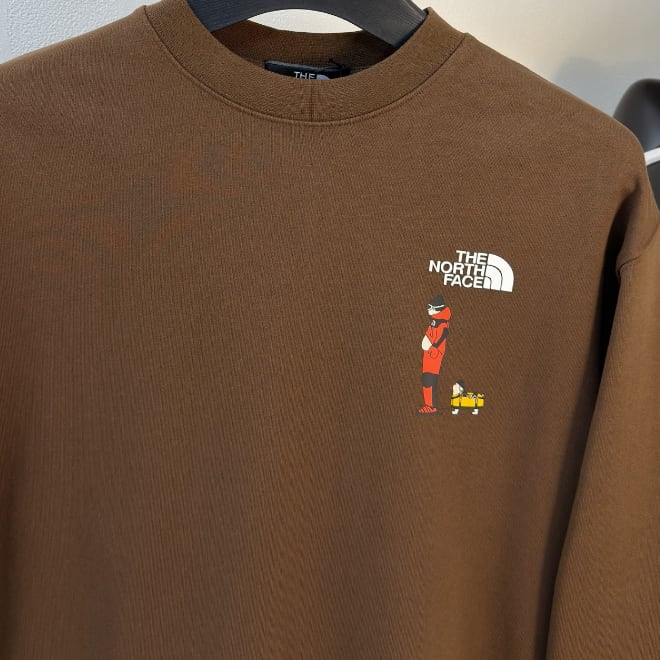 THE NORTH FACE スウェット メンズ レディース トレーナー バックプリント グラフィック クルーネック ブラウン