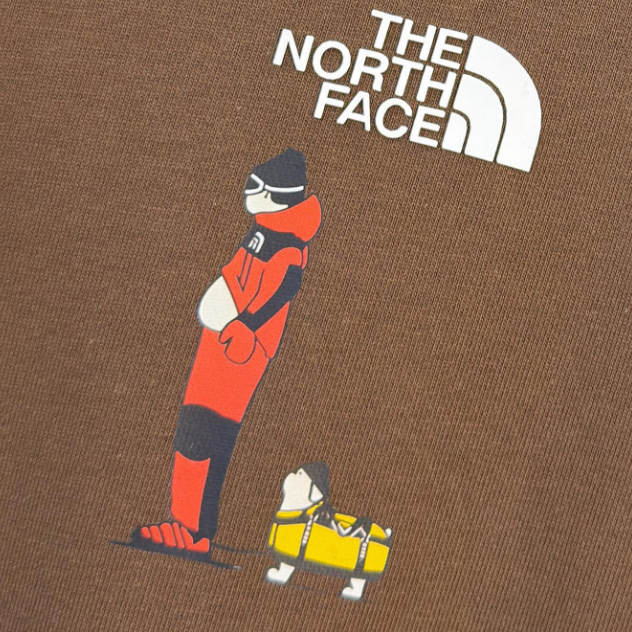 THE NORTH FACE スウェット メンズ レディース トレーナー バックプリント グラフィック クルーネック ブラウン