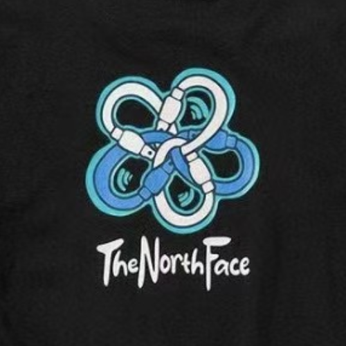 THE NORTH FACE バックプリントTシャツ ユニセックス 半袖 オーバーサイズ ブラック ストリートカジュアル