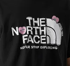 THE NORTH FACE レディース グラフィックTシャツ 半袖 オーバーサイズ ブラック