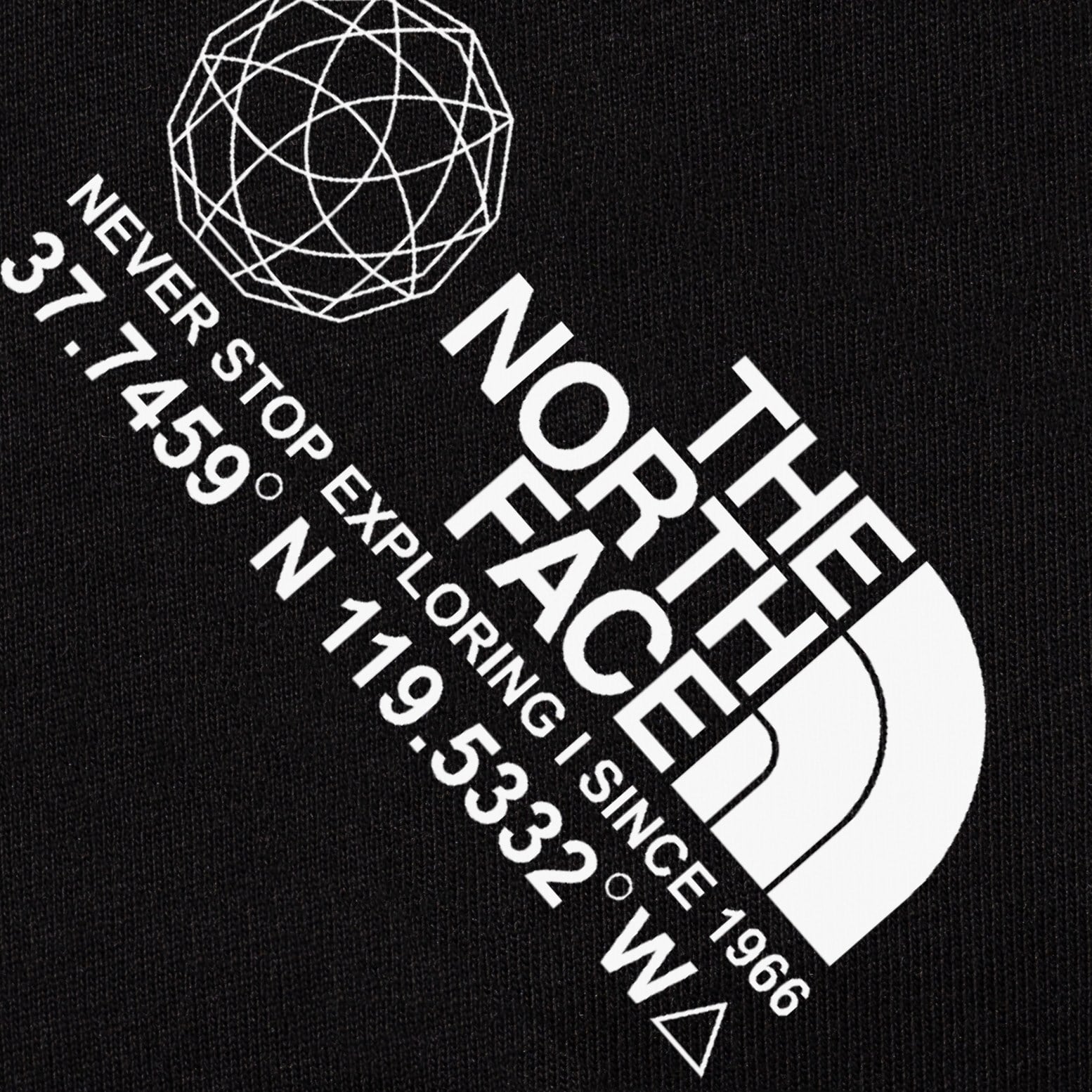THE NORTH FACE グラフィックTシャツ メンズ レディース 半袖 ロゴTシャツ クルーネック ユニセックス ストリート カジュアル