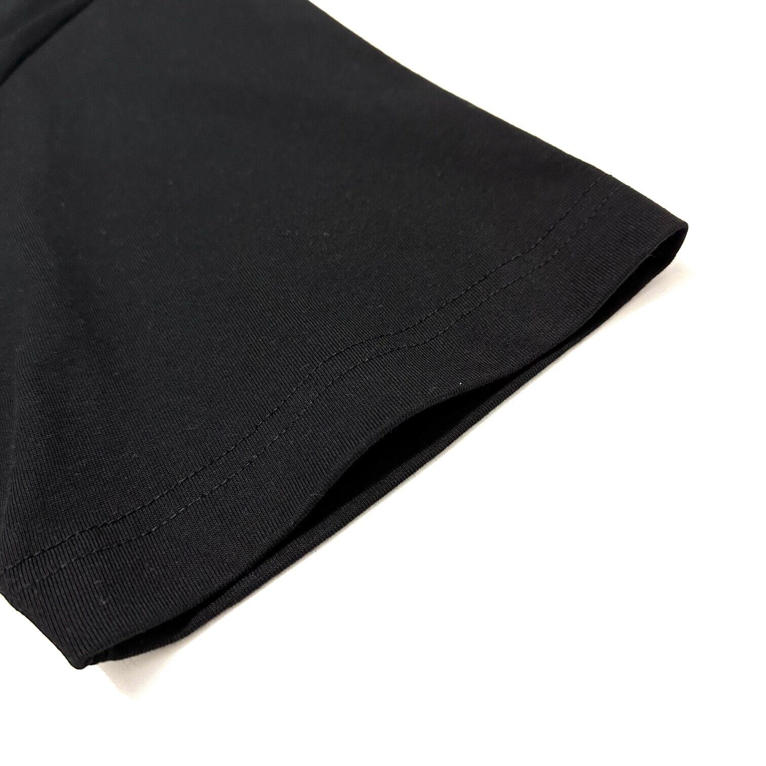 THE NORTH FACE Tシャツ メンズ レディース 半袖 バックプリント グラフィック ロゴTシャツ クルーネック ユニセックス